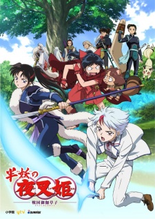 Media's Cover Image