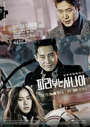 Media Cover