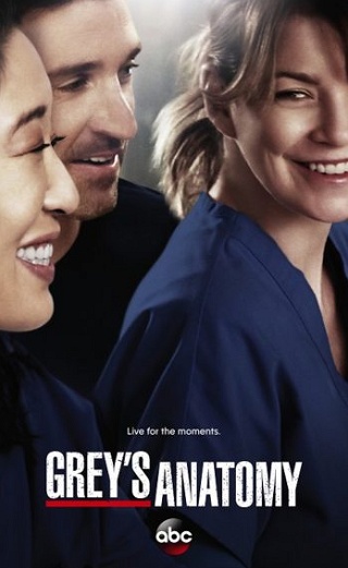 Media's Cover Image