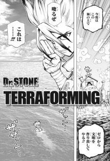 Media's Cover Image