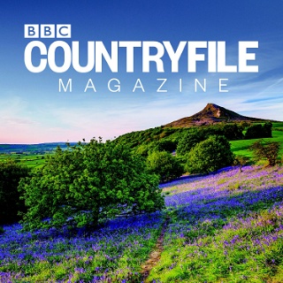 Media Cover