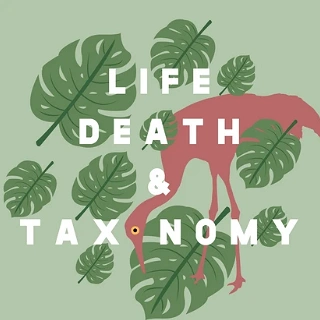 Media's Cover Image