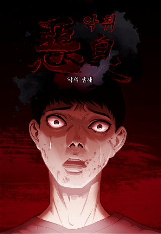 Media Cover