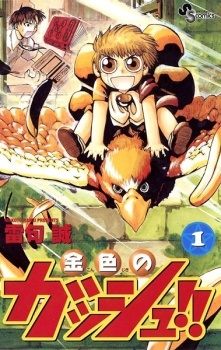 Media's Cover Image